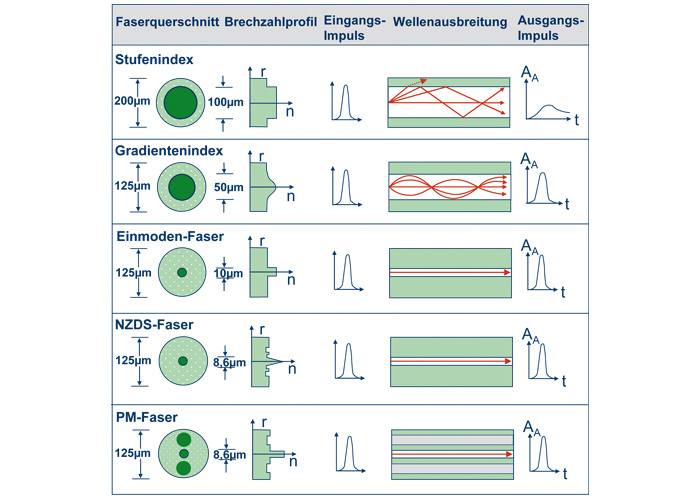 Fasertypen_Grafik_600x386px
