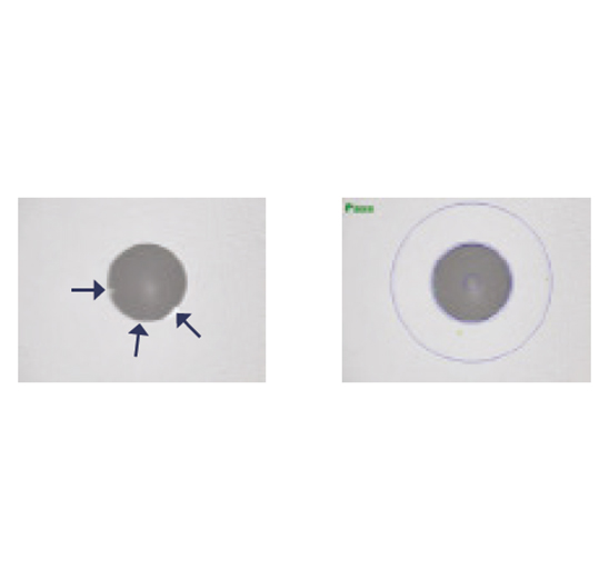 Mikroskopbilder_Stecker_Bilder_neben_Text_548x521px_Defekte_Kleberegion