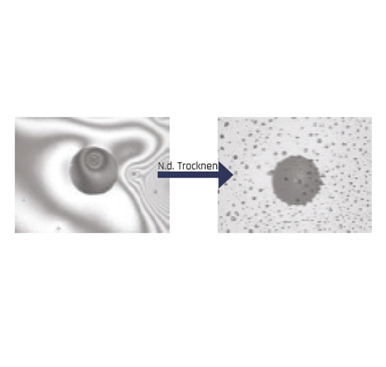 Mikroskopbilder_Stecker_Bilder_neben_Text_548x521px_feuchte-Rueckstaende